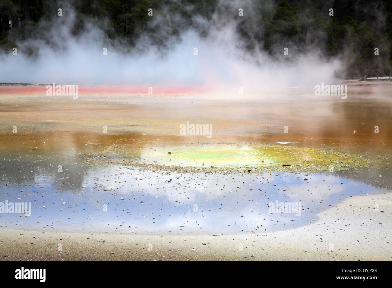 Wai-O-Tapu Nuova Zelanda Foto Stock