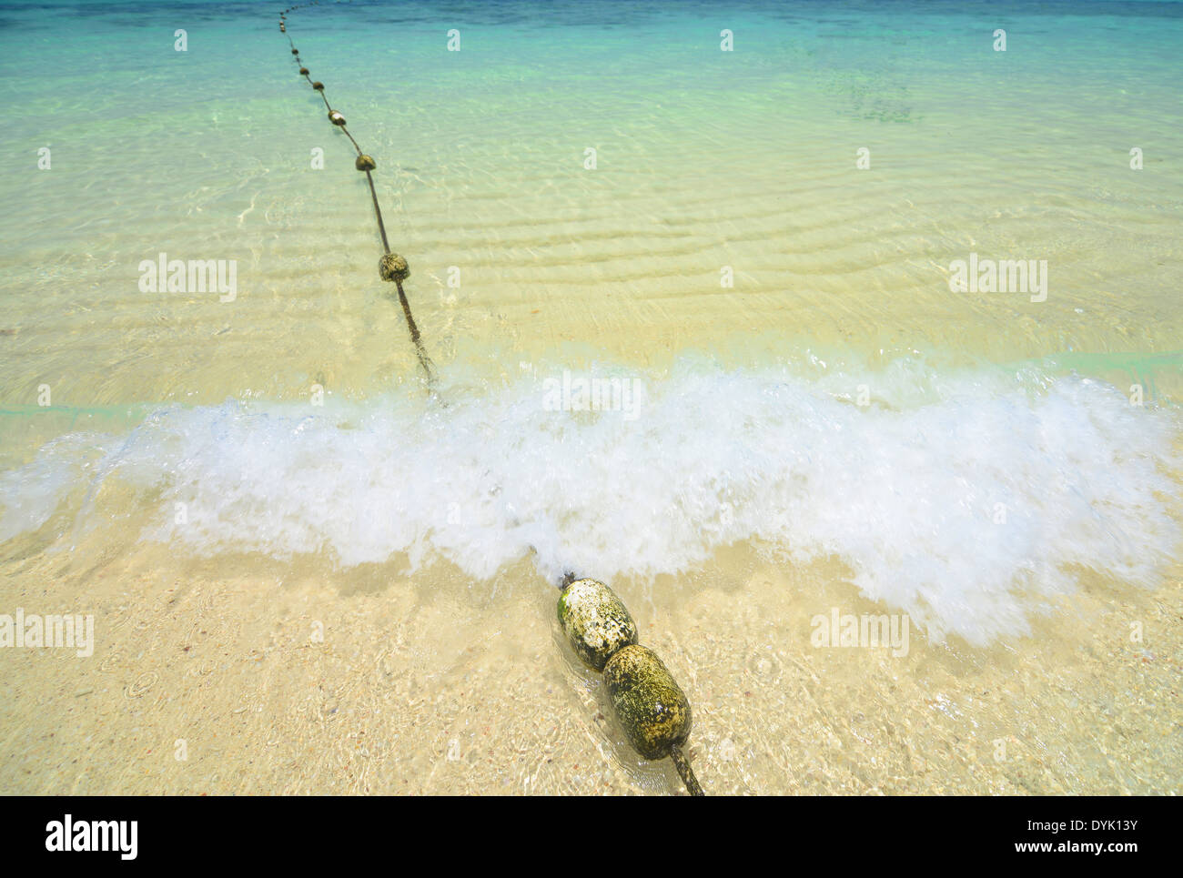 La boa sulla spiaggia Foto Stock