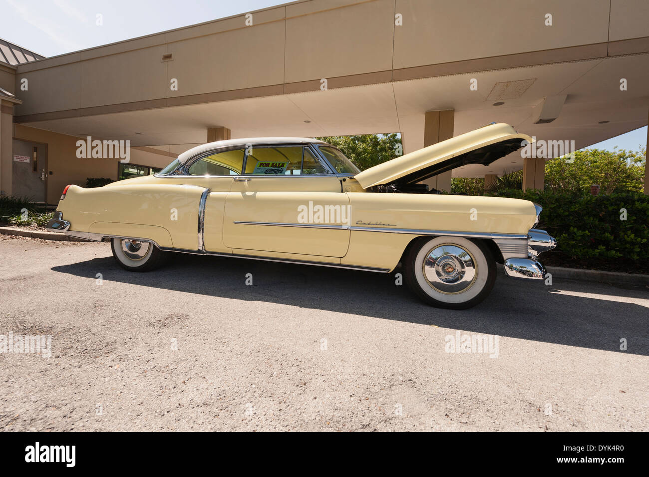Antique classic 1953 Cadillac Coupe DeVille automobile mostra che si terrà al Parco Wooton in Tavares, Florida USA Foto Stock