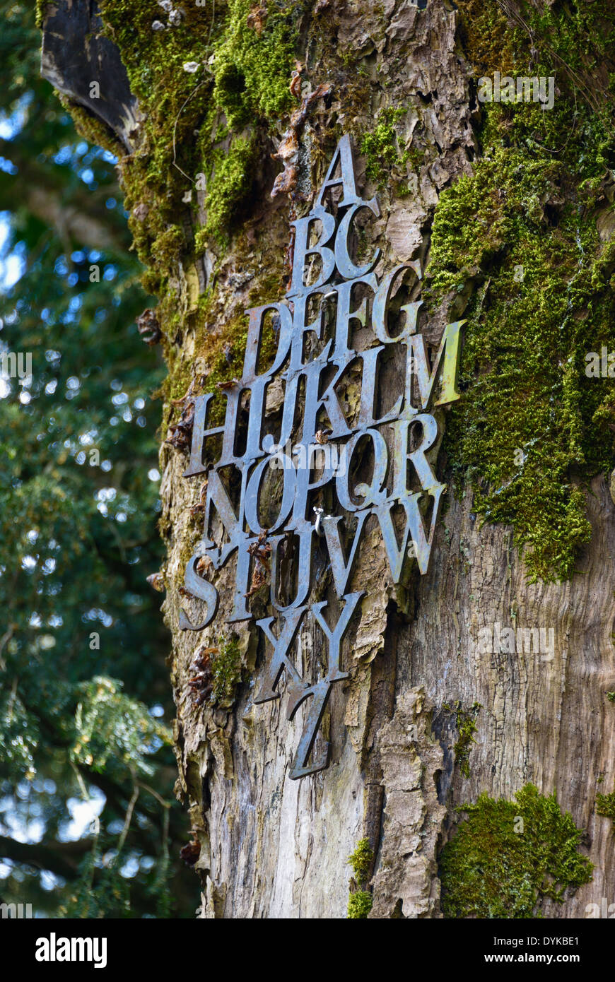 Alfabeto. Alfabeto del Sentiero delle sculture, boschi a serpentina, Fellside, Kendal Cumbria, England, Regno Unito, Europa Foto Stock