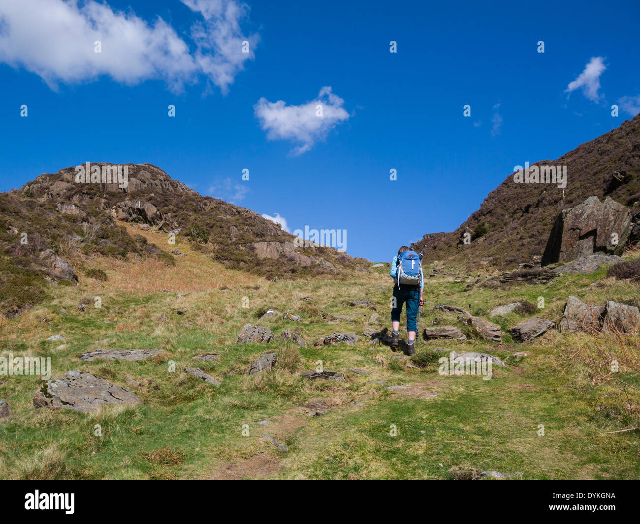 Il camminatore femmina per raggiungere la vetta del Cwm Bychan nel Parco Nazionale di Snowdonia Gwynedd Galles del Nord sul famoso sentiero pubblico nella meravigliosa area di passeggio Foto Stock