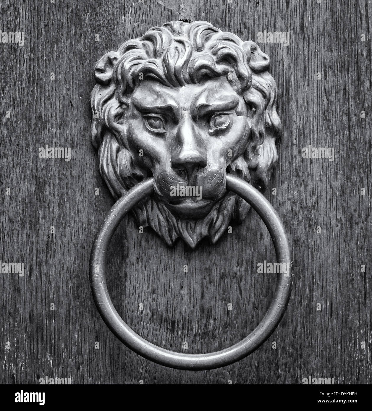 Maniglia della porta nella forma di una testa di leone. Film stilizzato. In bianco e nero. Tonificazione. Grani di grandi dimensioni Foto Stock
