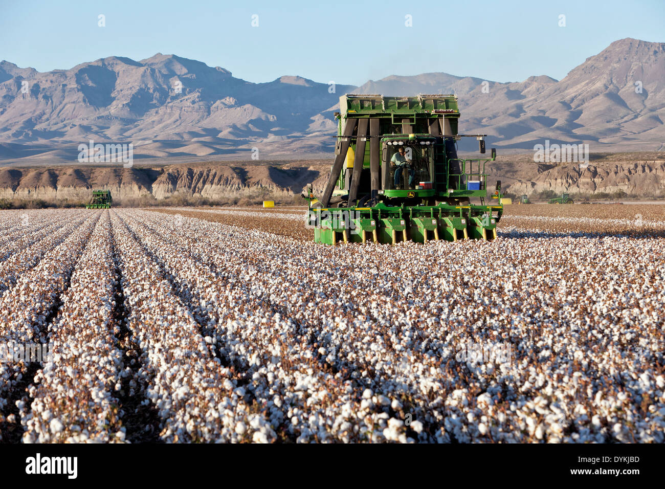 7760 John Deere raccoglitrice di cotone campo di raccolta. Foto Stock