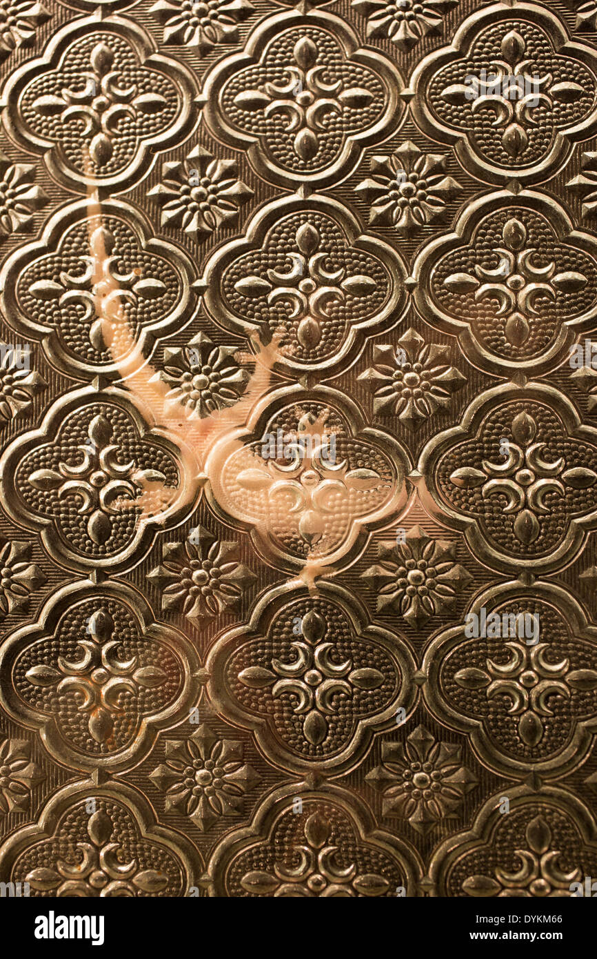 Casa Gecko dietro una finestra del bagno a caccia di insetti al Kungkungan Bay resort nel Nord Sulawesi, Indonesia. Foto Stock