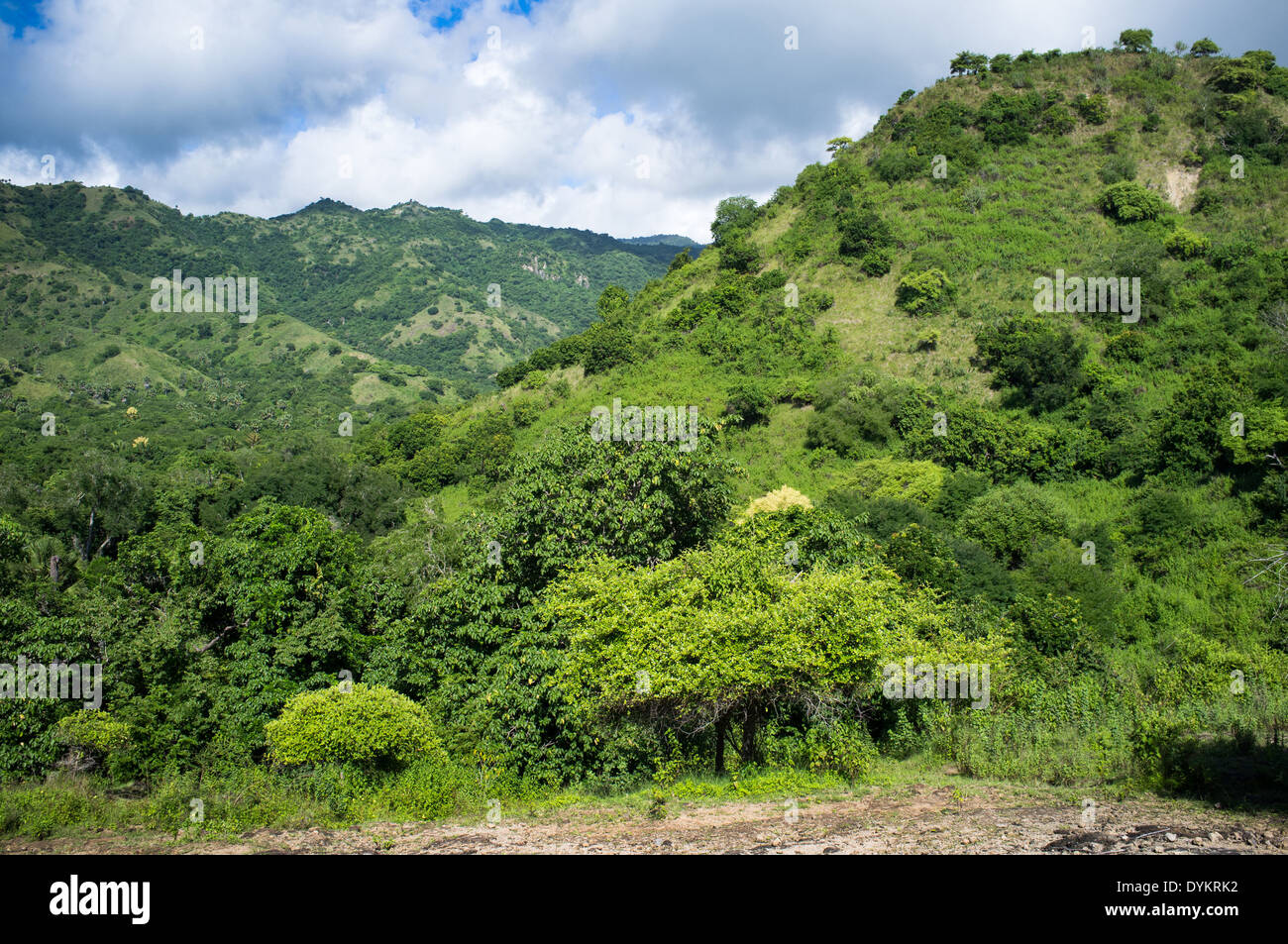 Il paesaggio costiero di isola Parco Nazionale di Komodo, Sito Patrimonio Mondiale dell'UNESCO, Indonesia, sud-est asiatico Foto Stock