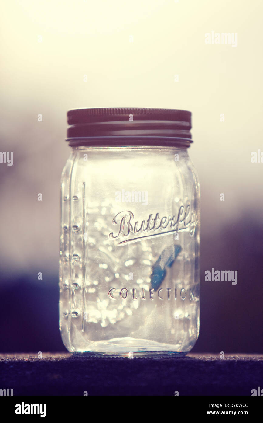 Vetro mason jar in piedi su una parete con la parola 'Butterfly' sul vaso e con una novità blue butterfly all'interno. Foto Stock
