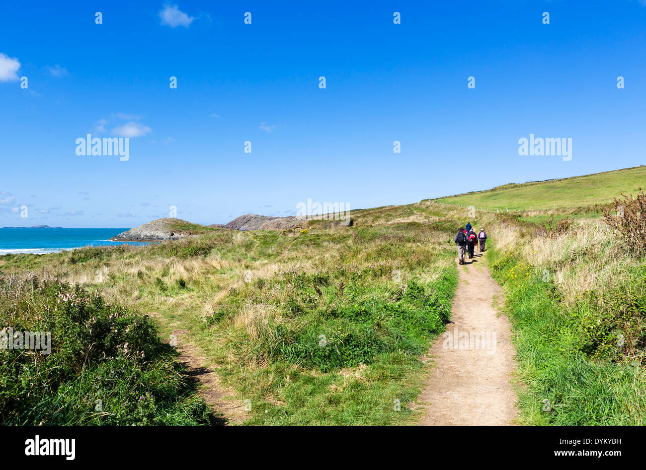 Walkers sul Il Pembrokeshire Coast Path a Whitesands Beach vicino a St David's, Pembrokeshire, Wales, Regno Unito Foto Stock