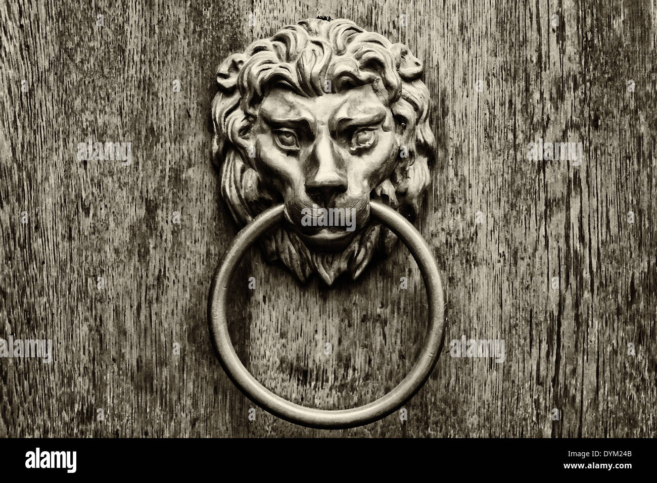 Maniglia della porta nella forma di una testa di leone. Film stilizzato. Il nero di seppia. Tonificazione. Grani di grandi dimensioni Foto Stock
