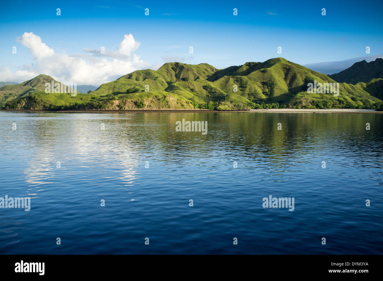 Il paesaggio costiero di isole Parco Nazionale di Komodo, Sito Patrimonio Mondiale dell'UNESCO, Indonesia, sud-est asiatico Foto Stock