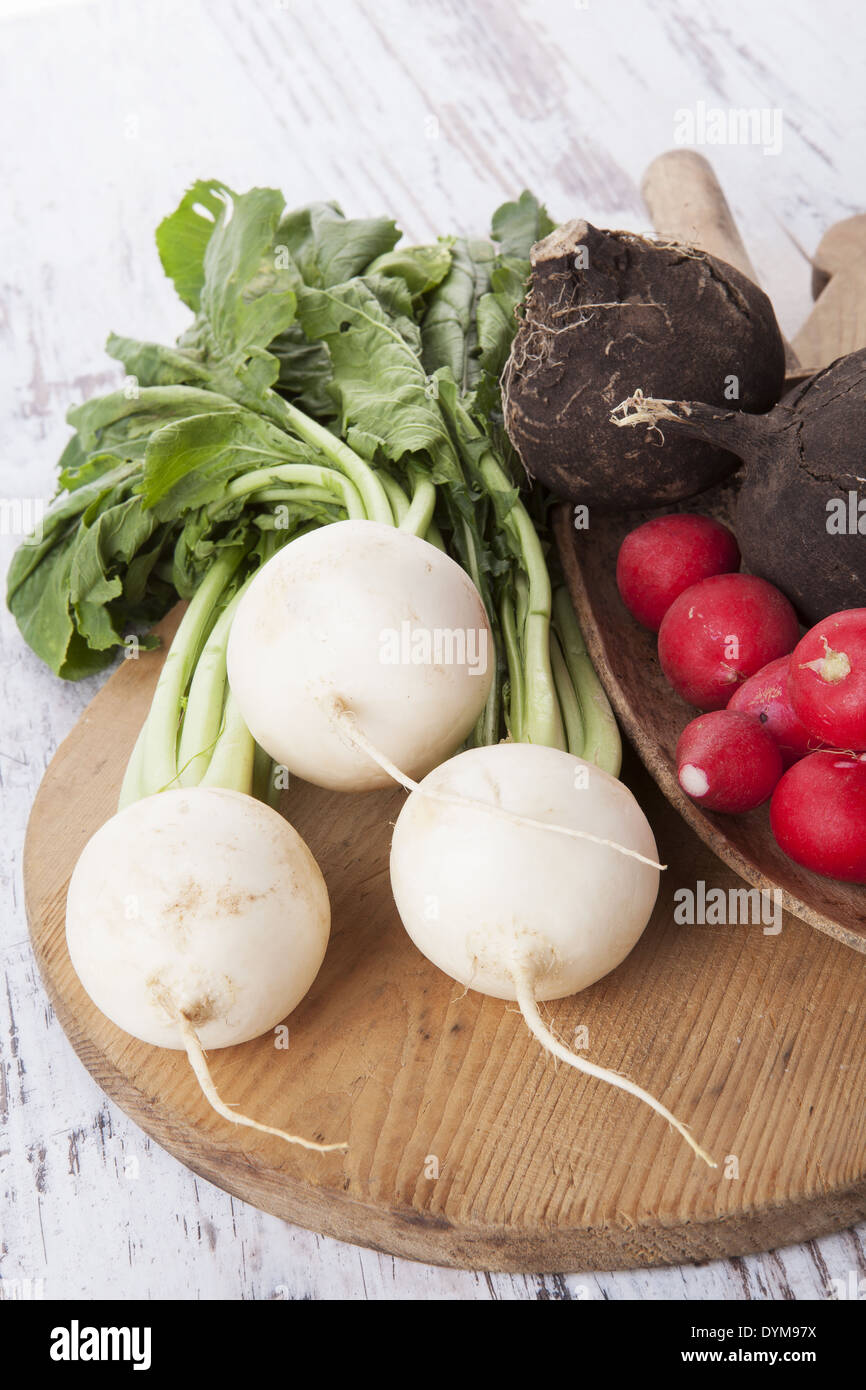 Bianco, rosso e rafano nero sulla cucina in legno bordo bianco su sfondo di legno. Agricoltura, sfondo rustico. Foto Stock