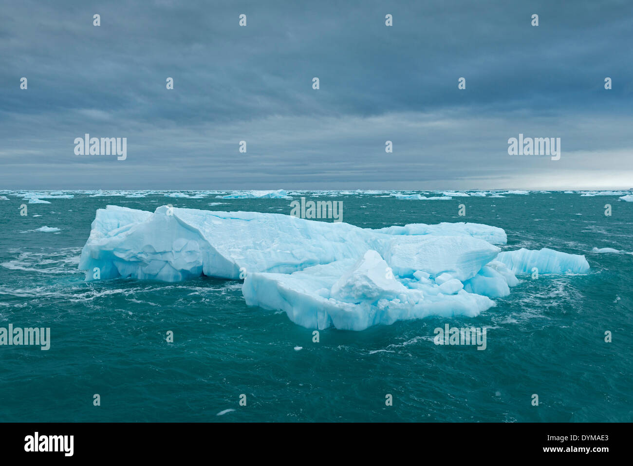 Iceberg galleggianti in mare al largo della costa di Nordaustlandet, arcipelago delle Svalbard Isole Svalbard e Jan Mayen, Norvegia Foto Stock