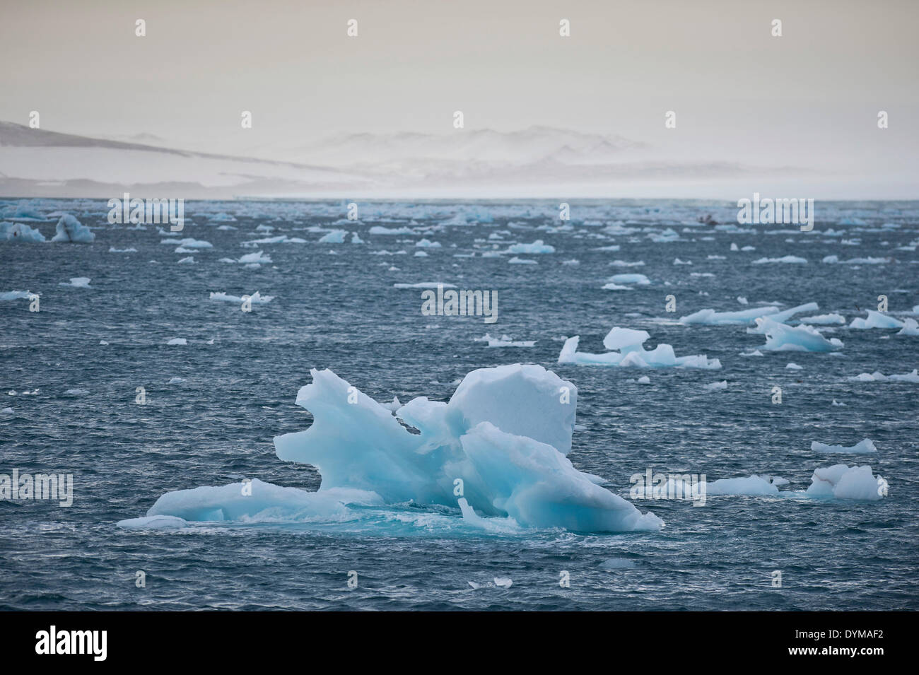 Iceberg galleggianti in mare al largo della costa di Nordaustlandet, arcipelago delle Svalbard Isole Svalbard e Jan Mayen, Norvegia Foto Stock