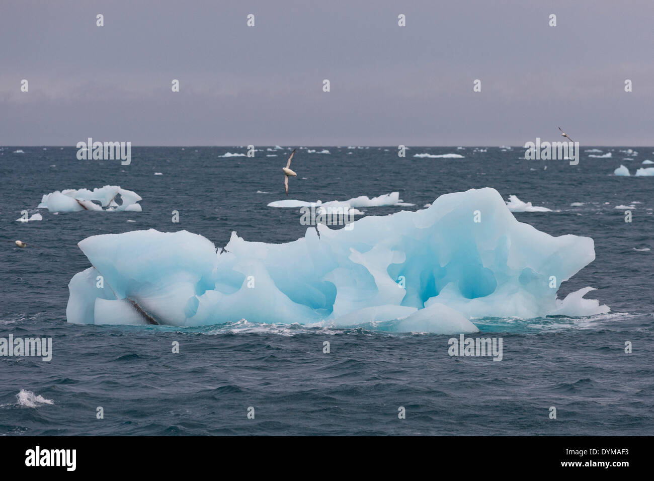 Iceberg galleggianti in mare al largo della costa di Nordaustlandet, arcipelago delle Svalbard Isole Svalbard e Jan Mayen, Norvegia Foto Stock