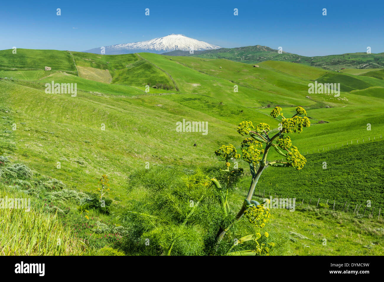 Coperta di neve Etna & verdeggianti pascoli di primavera in collina paese vicino a Troina; Troina, in provincia di Enna, Sicilia, Italia Foto Stock