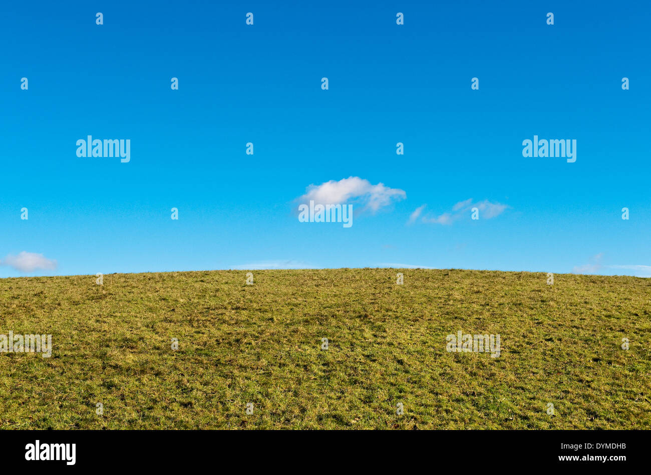 La parte superiore di un'erba collina coperta contro un cielo blu con poche piccole nuvole Foto Stock