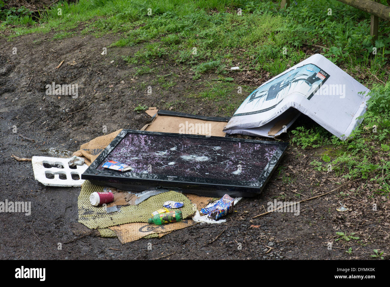 Tv a schermo piatto con punta a mosca sul bordo di un bosco. Northhamptonshire. Inghilterra Foto Stock