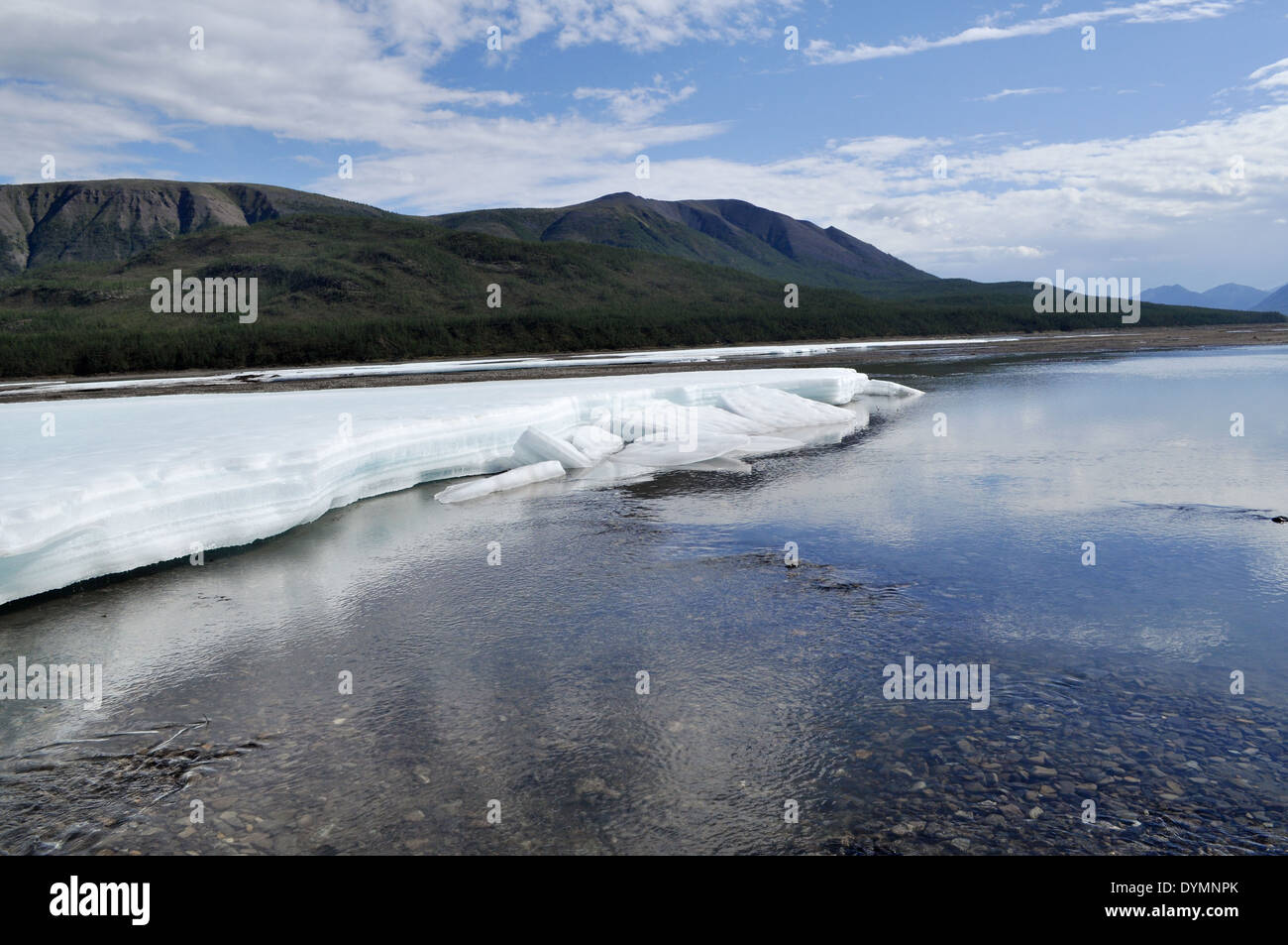 Russia, Yakutia, una cresta di Suntar-khayata, fiume Suntar, Agosto. La permanente campi di ghiaccio in tideway del fiume Yakut. Foto Stock