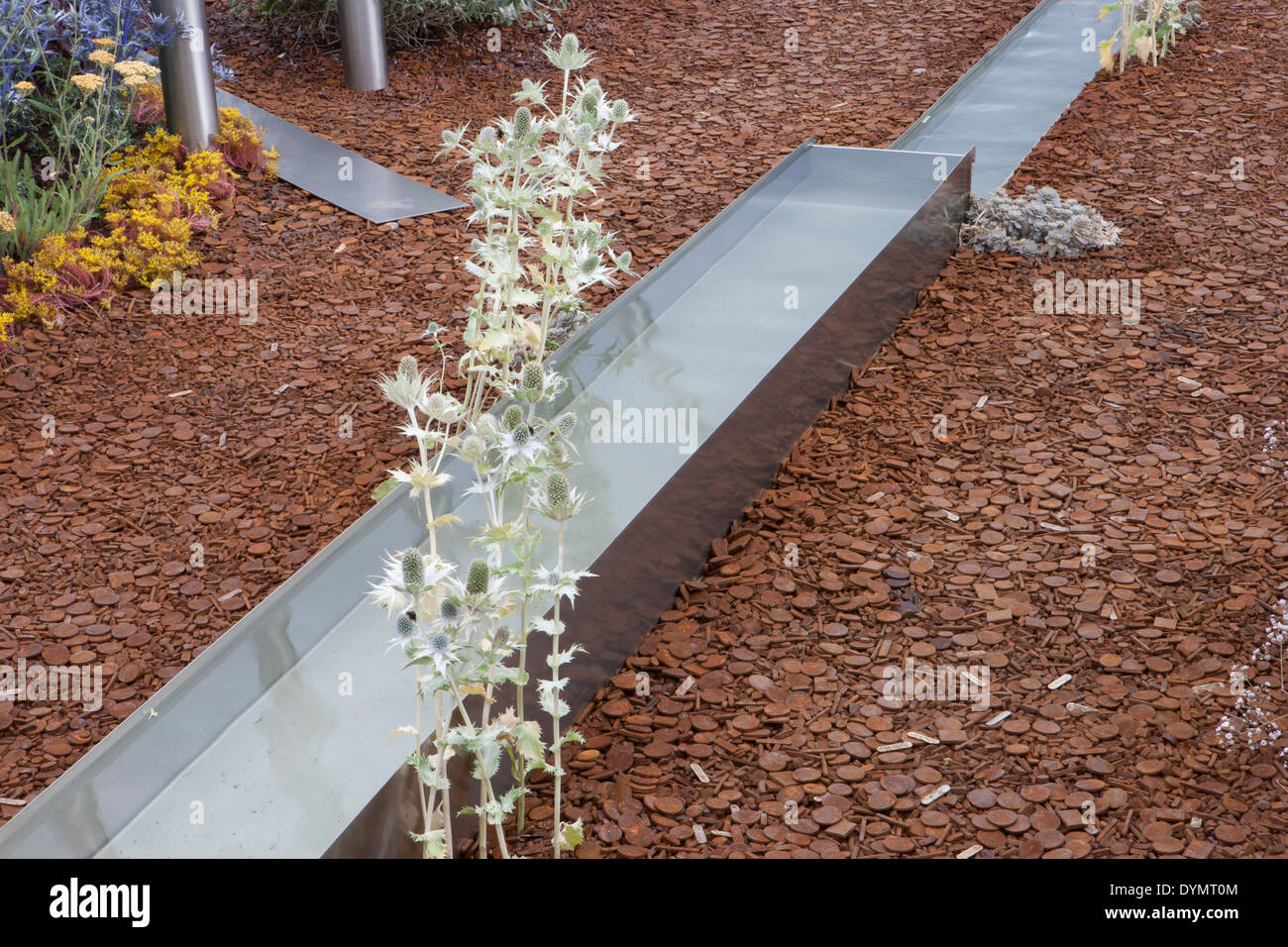 Giardino moderno e contemporaneo con fontana di rigoglioso giardino realizzato in acciaio che attraversa un giardino di ghiaia del Regno Unito Foto Stock