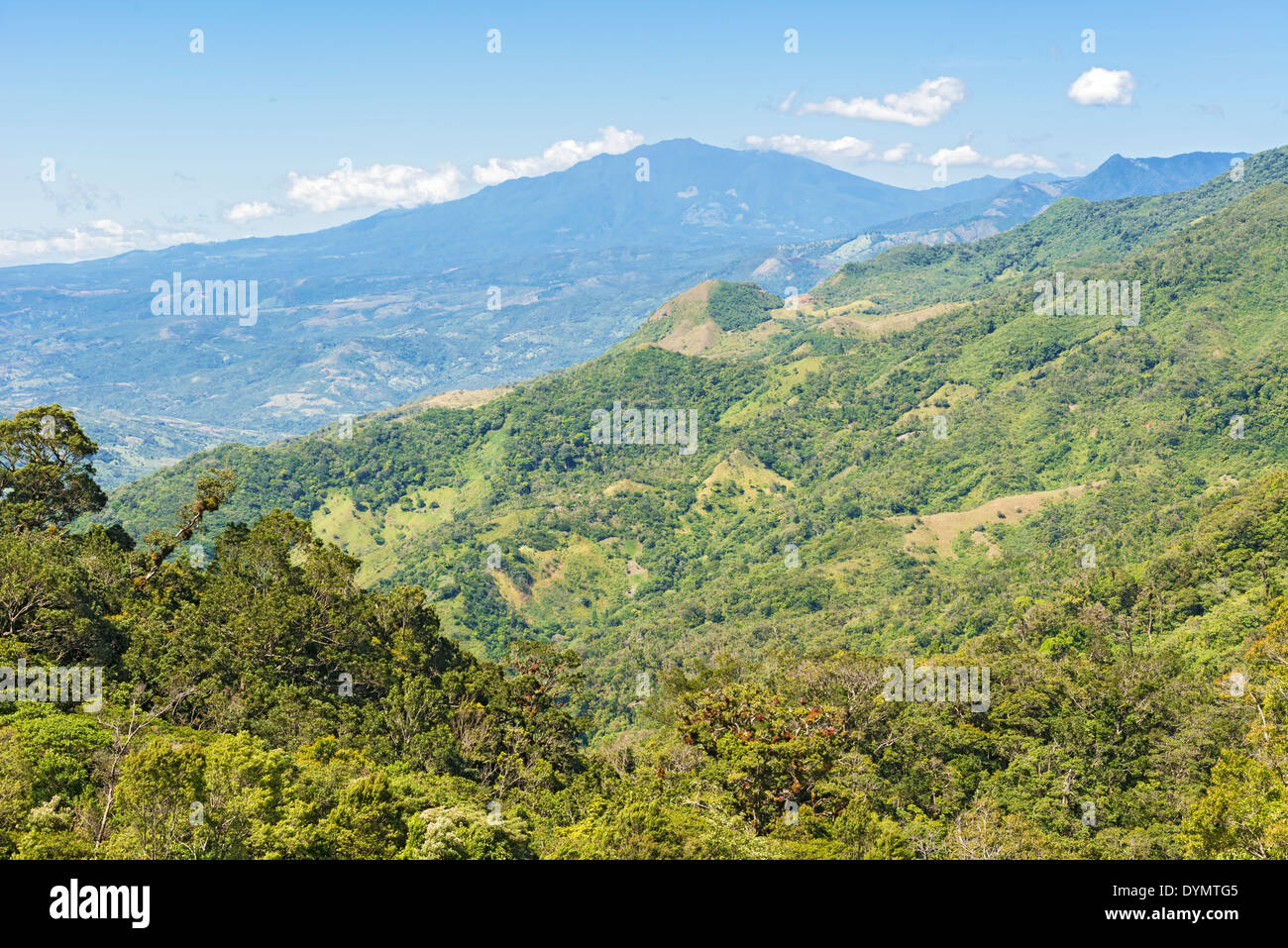 Montagne e foreste pluviali tropicali in Fortuna National Park a Panama in data 8 gennaio 2014. Foto Stock