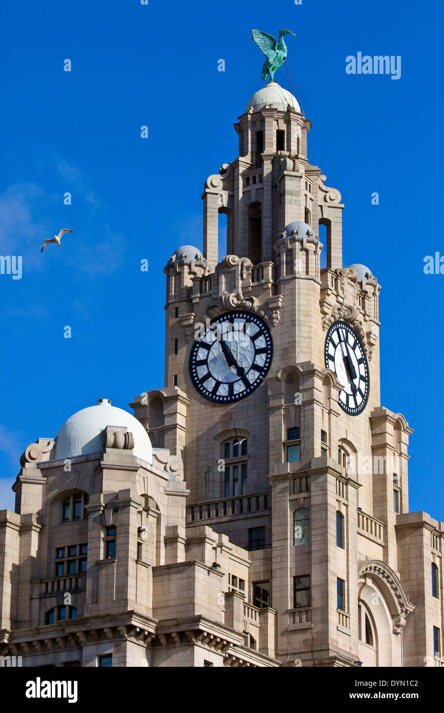 Storico Royal Liver Building di Liverpool, in Inghilterra. Foto Stock