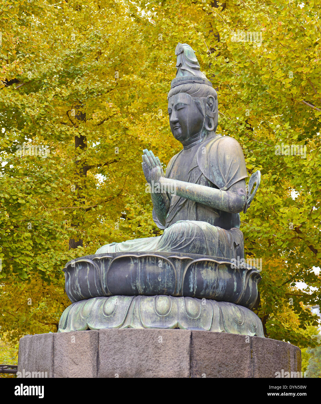 Statua del Buddha con alberi di gingko in autunno Foto Stock