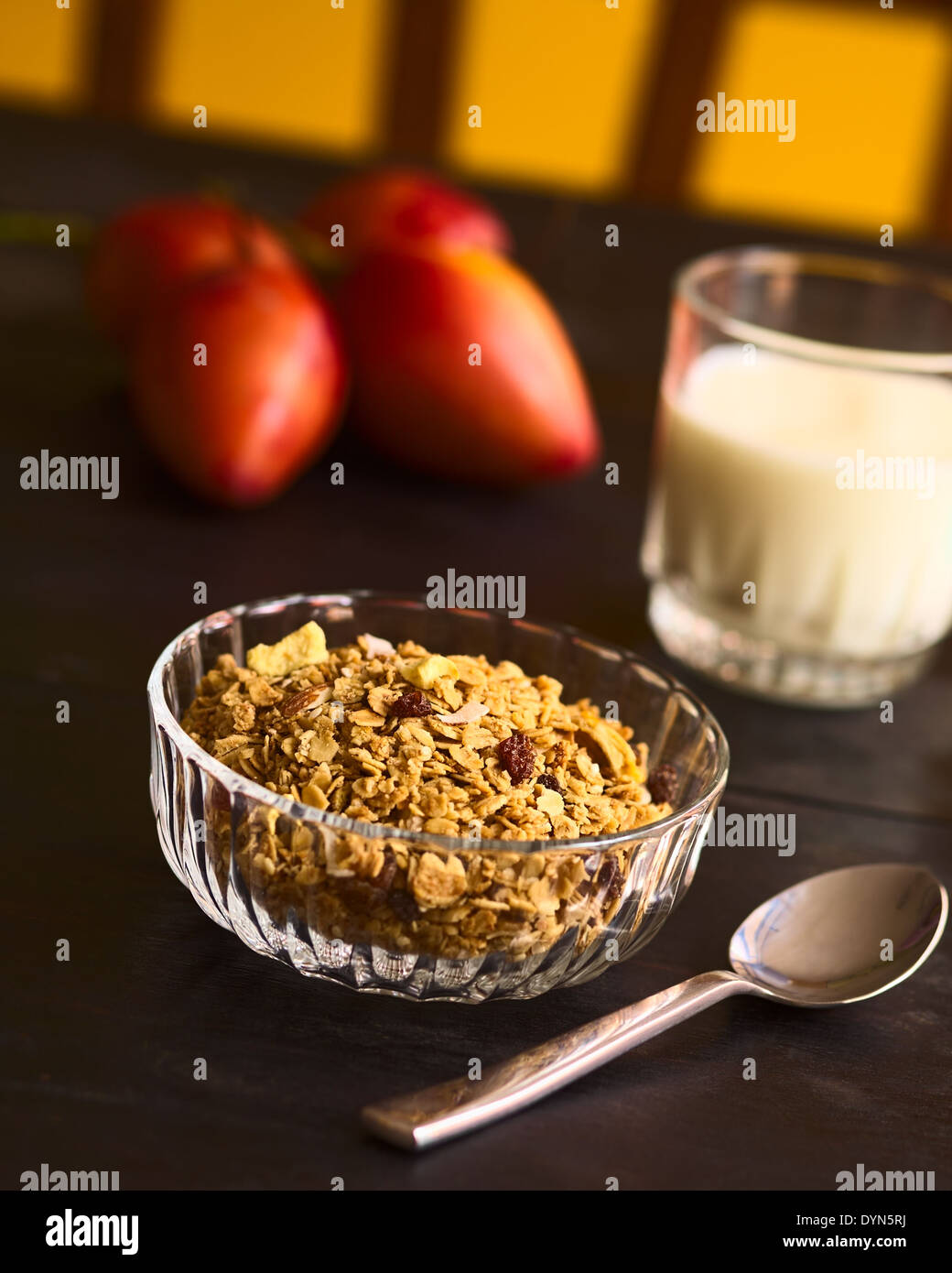 Cereali per la colazione fuori di crusca di avena fiocchi, sesamo, miele, mandorle e frutta secca Foto Stock