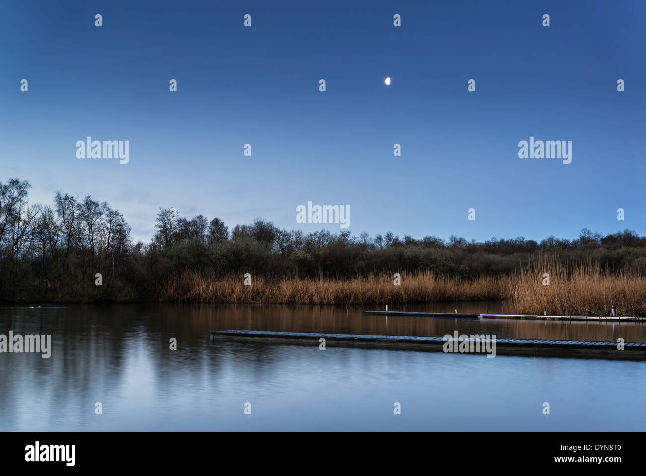 Splendido e tranquillo paesaggio al chiaro di luna sul lago e molo Foto Stock