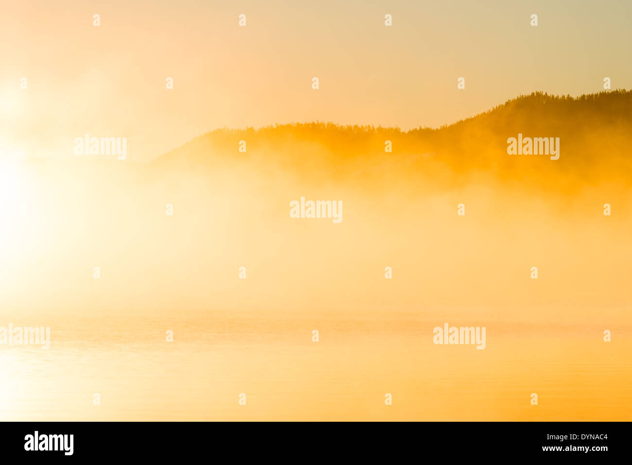 Foschia mattutina in riva al lago Foto Stock