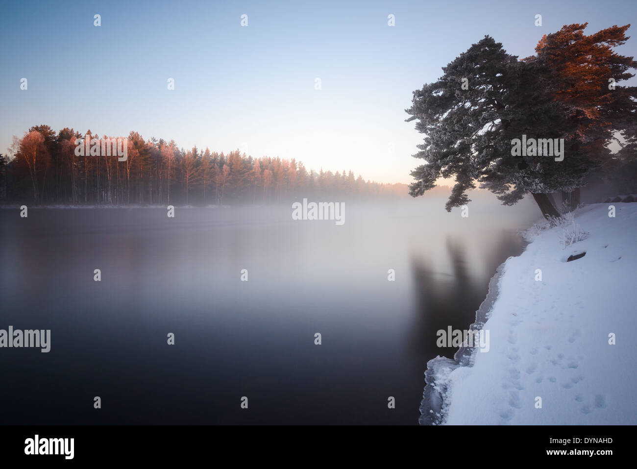 Foschia mattutina lungo il fiume in inverno Foto Stock