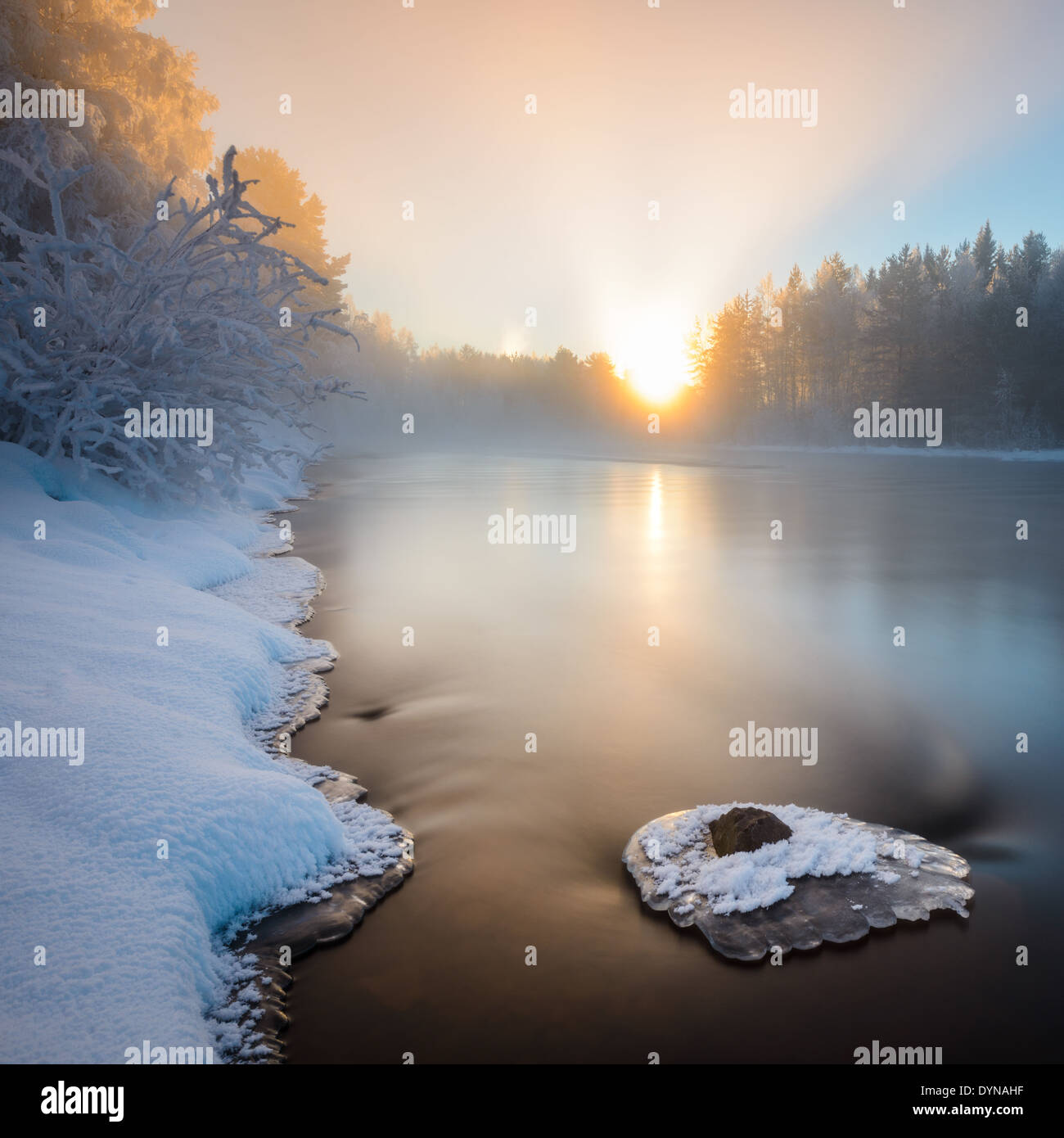 Foschia mattutina lungo il fiume in inverno Foto Stock