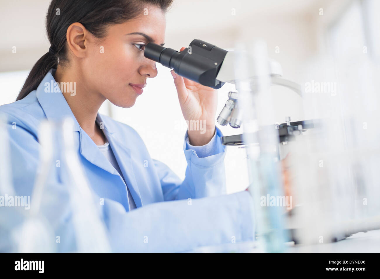 Scienziato ispanica tramite microscopio in laboratorio Foto Stock