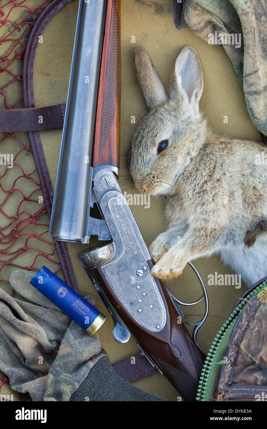 Un coniglio morto con un fucile a pompa e di apparecchiature di ripresa Foto Stock