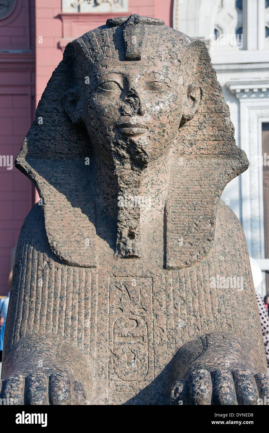 Museo Egizio del Cairo.Una Sfinge del faraone Thutmosi III (Men-Kheper-Ra in cortile. Foto Stock