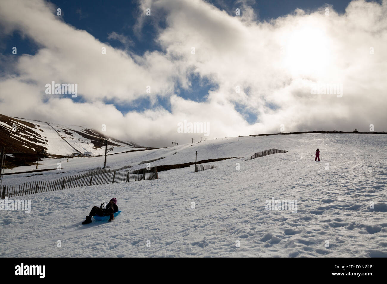 Cairngorm Mountain; vicino al centro sci di fondo; la Scozia; Regno Unito Foto Stock