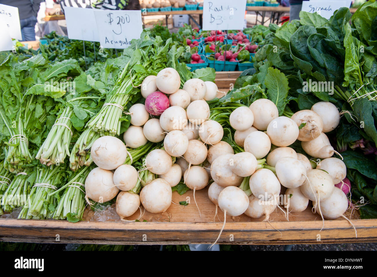 Large White ortaggi a radice a Waverly Farmers Market a Baltimora, Maryland Foto Stock