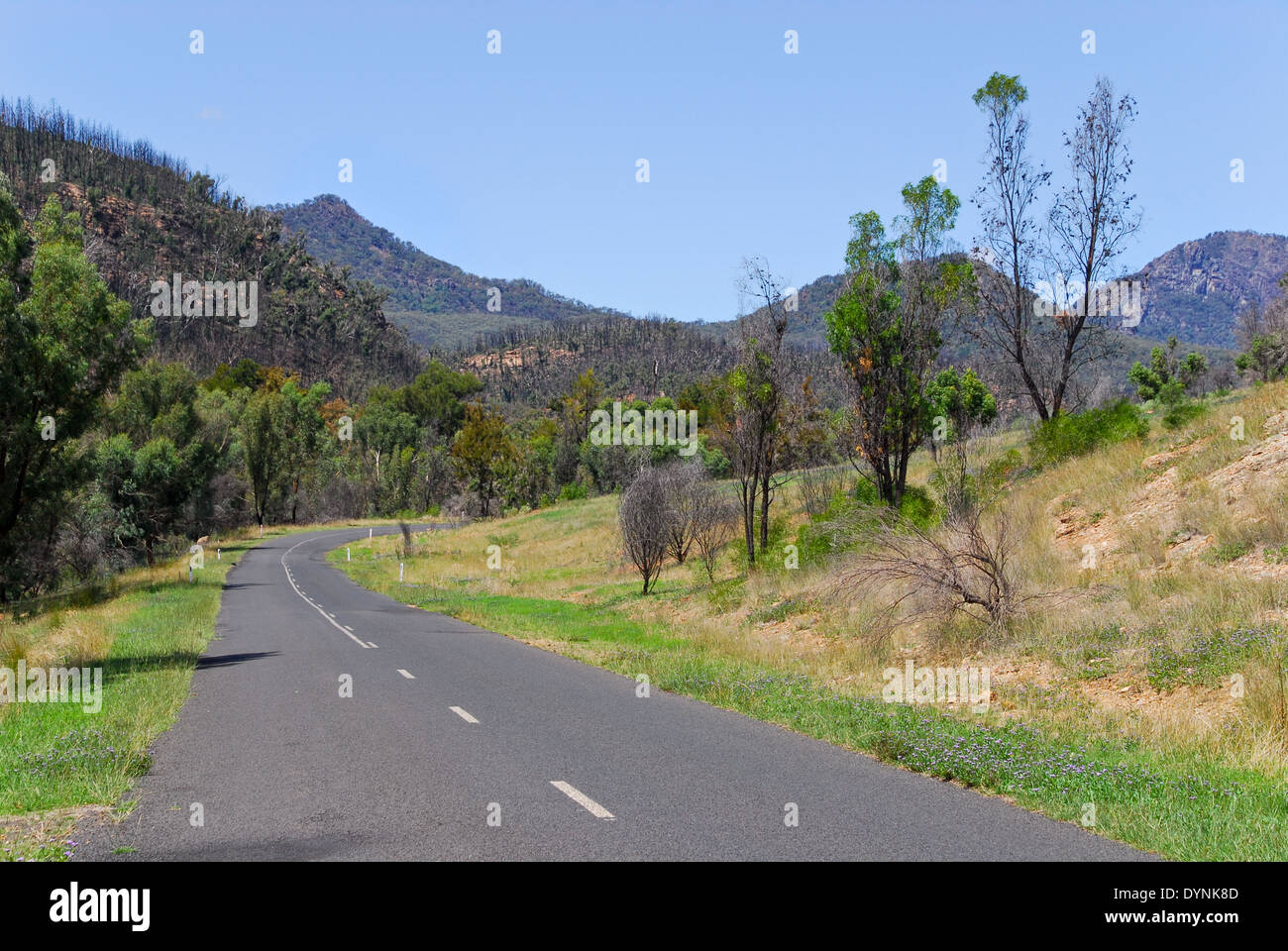 Strada per Warrumbungle National Park, Australia; Nuovo Galles del Sud; Foto Stock