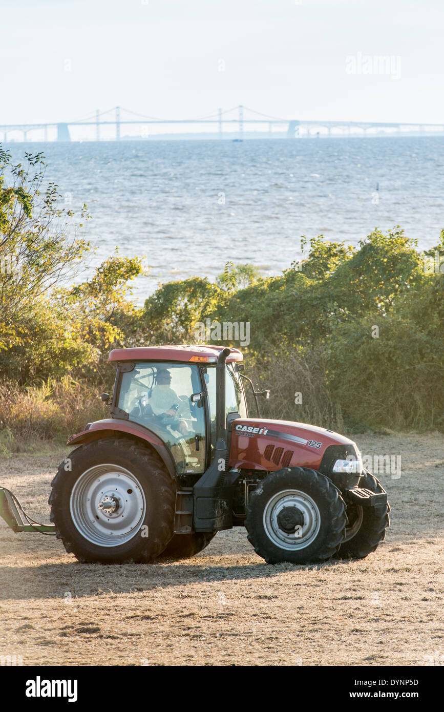 L'agricoltore nel trattore con il Bay Bridge in background Kent County MD Foto Stock