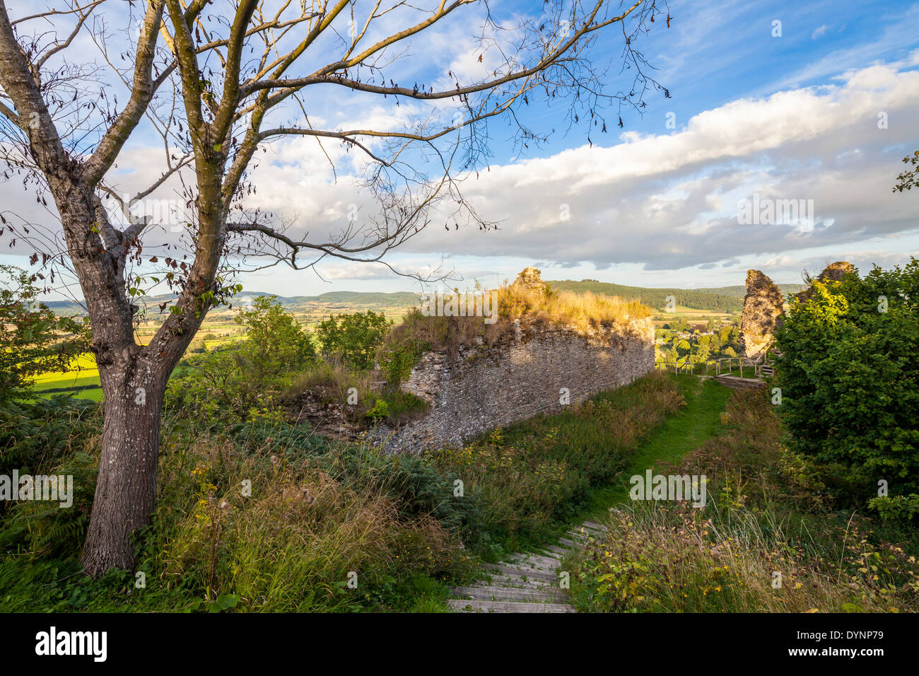 Castello di Wigmore Herefordshire England Regno Unito Foto Stock