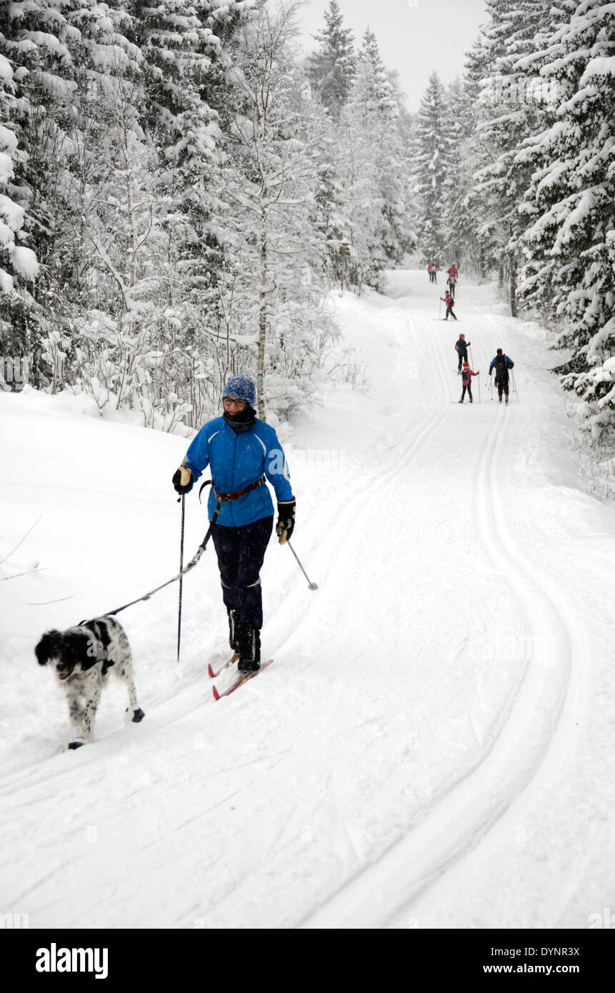 Famiglie norvegesi sci di fondo in nordmarka, una wilderness area di foreste e colline appena fuori la capitale oslo, Norvegia Foto Stock