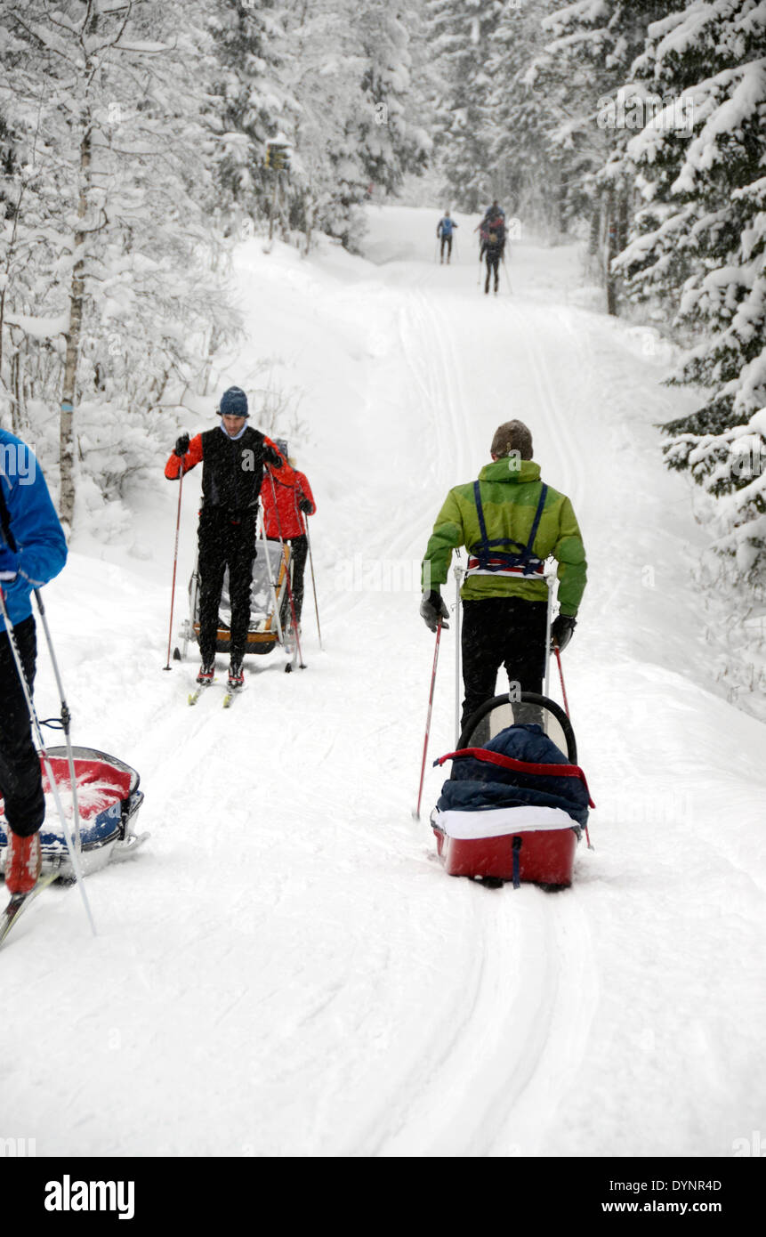 Famiglie norvegesi sci di fondo in nordmarka, una wilderness area di foreste e colline appena fuori la capitale oslo, Norvegia Foto Stock
