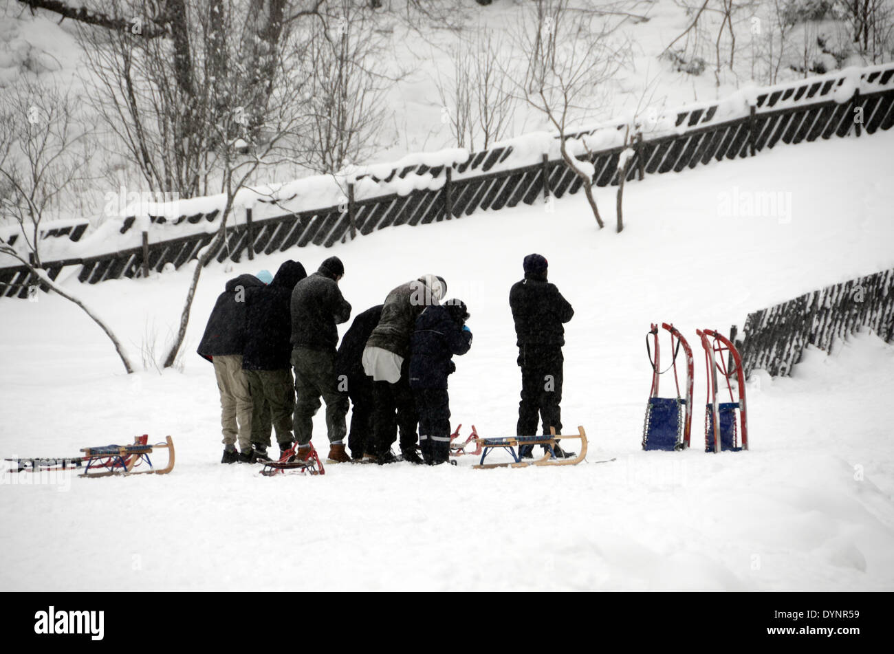Gli immigrati musulmani in Norvegia la preghiera verso la mecca nella neve in occasione di una visita a nordmarka, al di fuori della capitale oslo, Norvegia Foto Stock