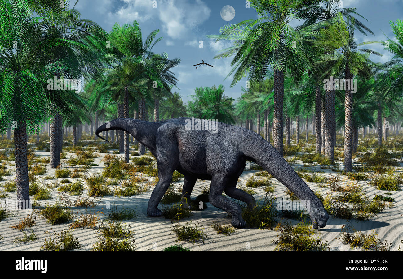 Un Camarasaurus Sauropod Dinosaur pascolo. Foto Stock