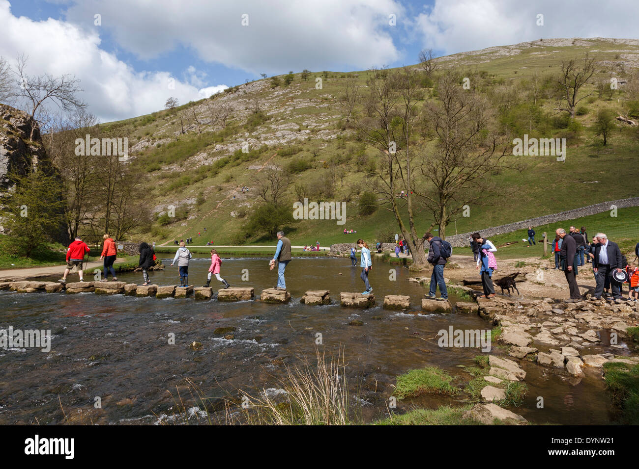 Pietre miliari dovedale derbyshire Peak District Inghilterra Regno Unito Foto Stock