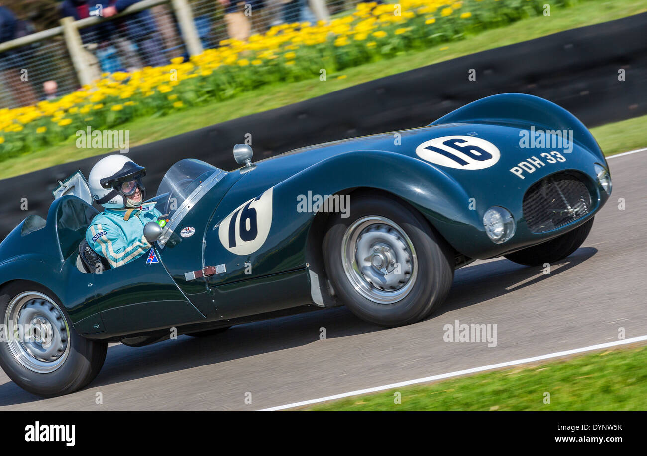 1954 Cooper-Jaguar T33 con driver Robert Newall, Peter Collins trofeo Race, 72a Goodwood assemblea dei soci, Sussex, Regno Unito. Foto Stock