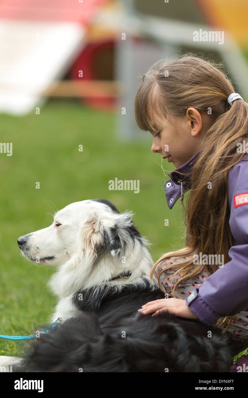 Ragazza pacche un bianco e nero di razza Border Collie cane. Foto Stock