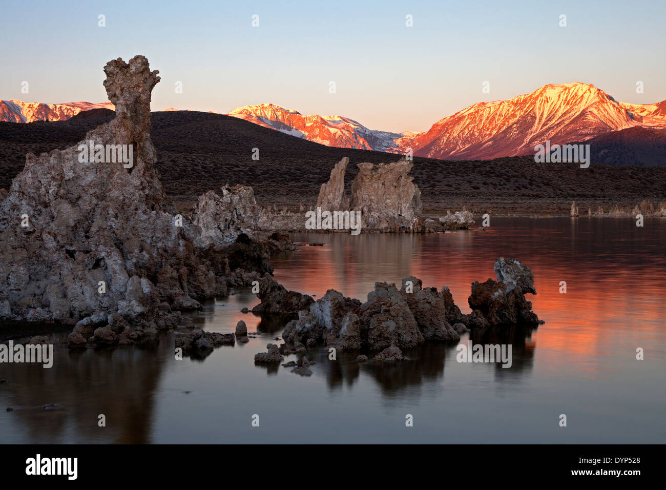 La luce riflette sull'acqua che circondano le torri di tufo lungo lago Mono's south shore a sunrise. Foto Stock