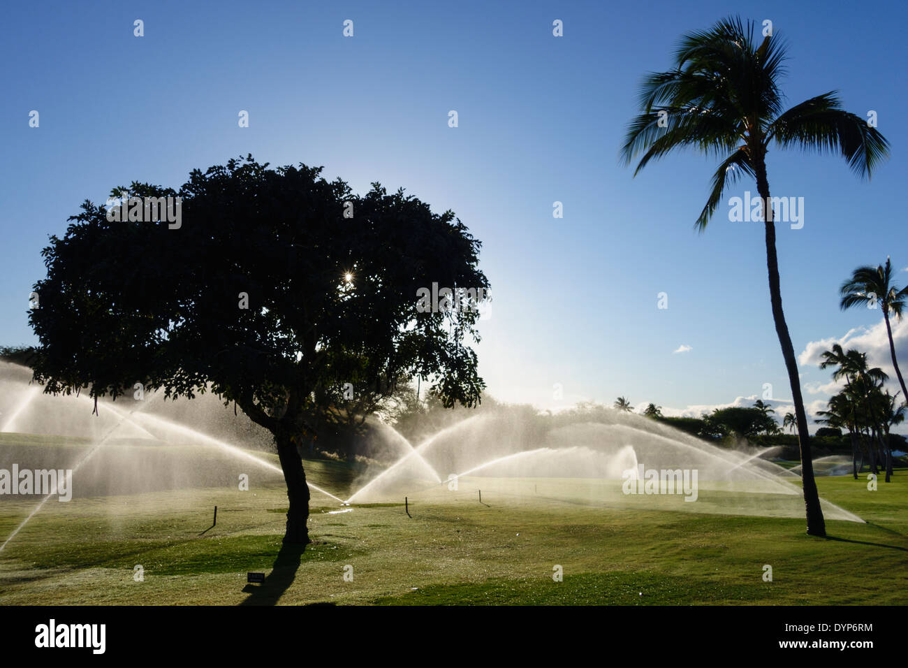 Pomeriggio di irrigazione del Mauna Kea golf Hawaii Foto Stock