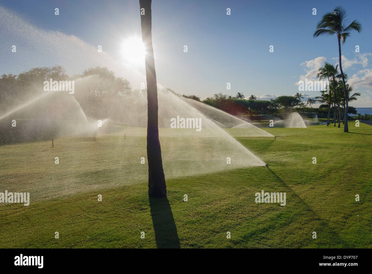 Pomeriggio di irrigazione del Mauna Kea golf Hawaii. Foto Stock