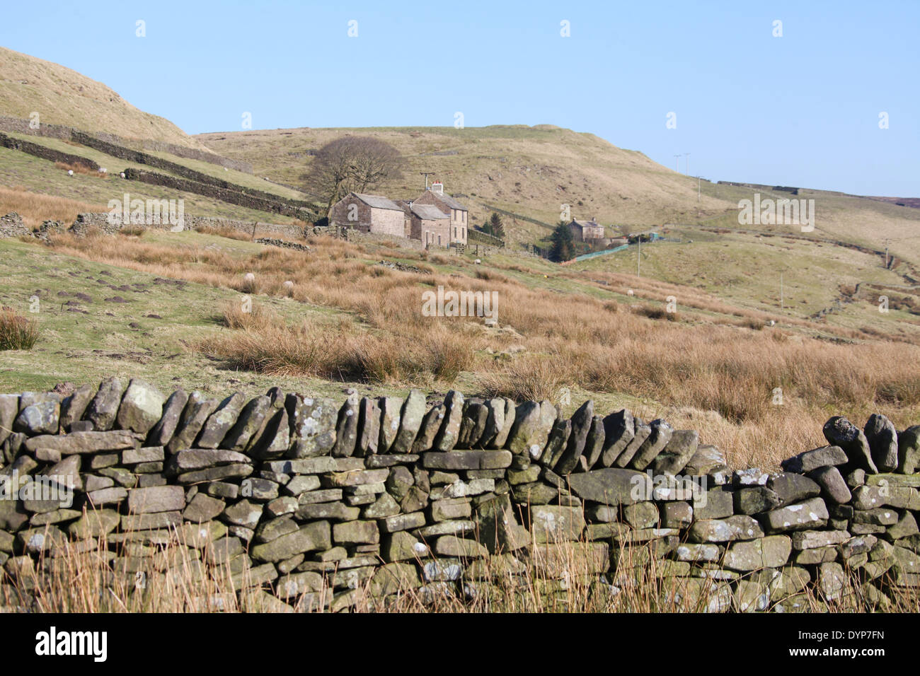 Parete Gritstone e Derbyshire Hill Farm nel Parco Nazionale di Peak District Foto Stock