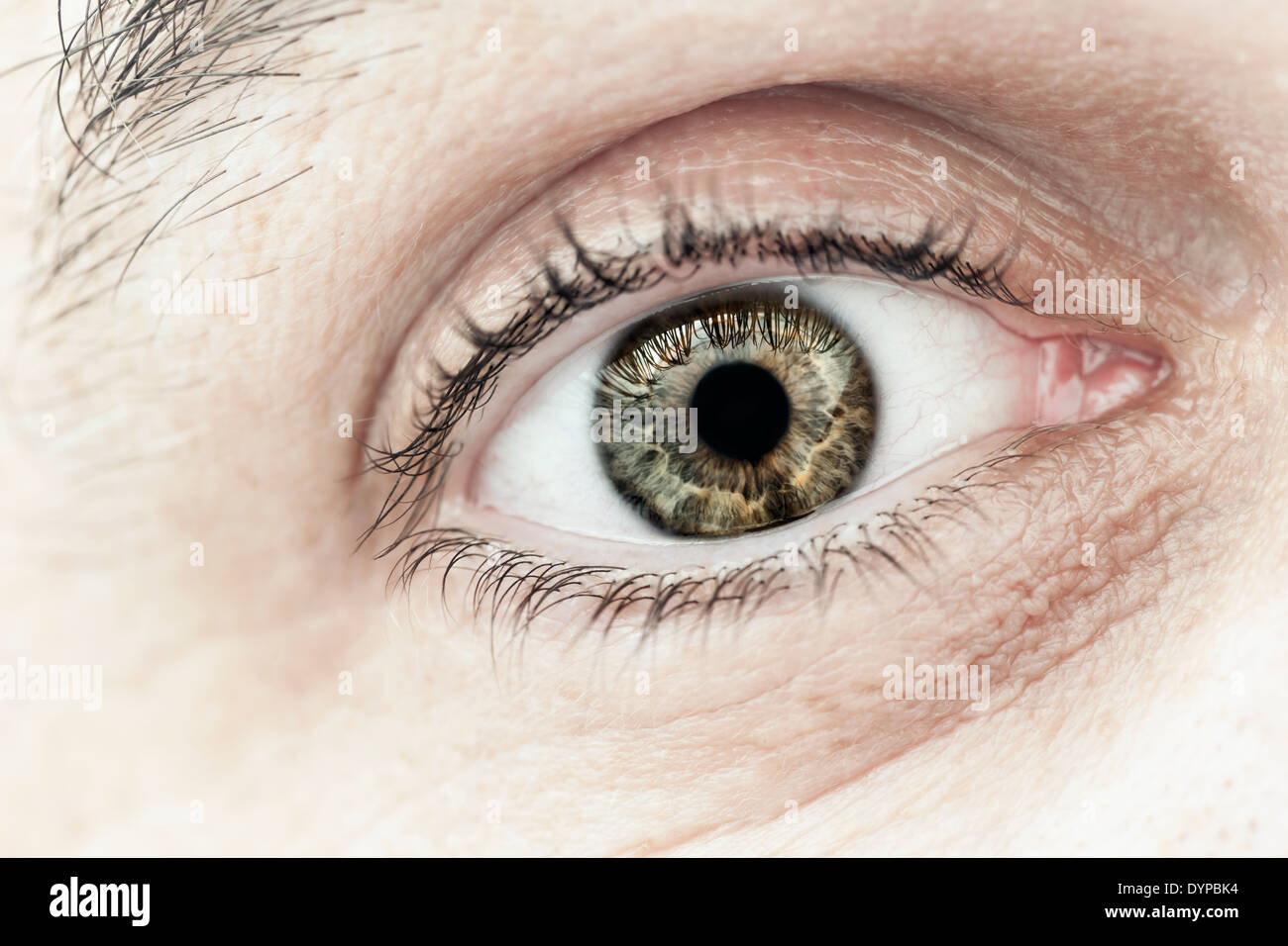 Macro closeup dei maschi di occhio con la palpebra ciglia e interessante modello di iris Foto Stock